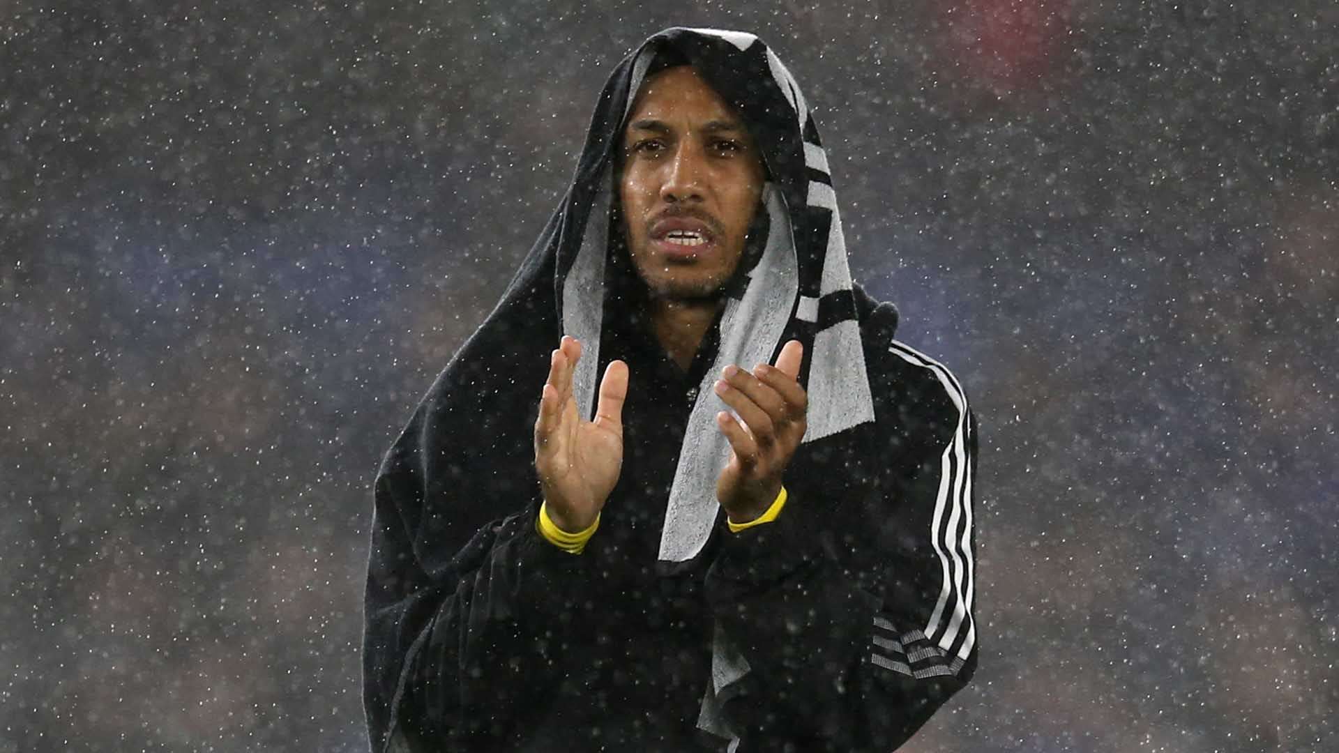 作为澳大利 作为澳大利